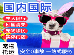泉州机场空运国际宠物托运 【国
